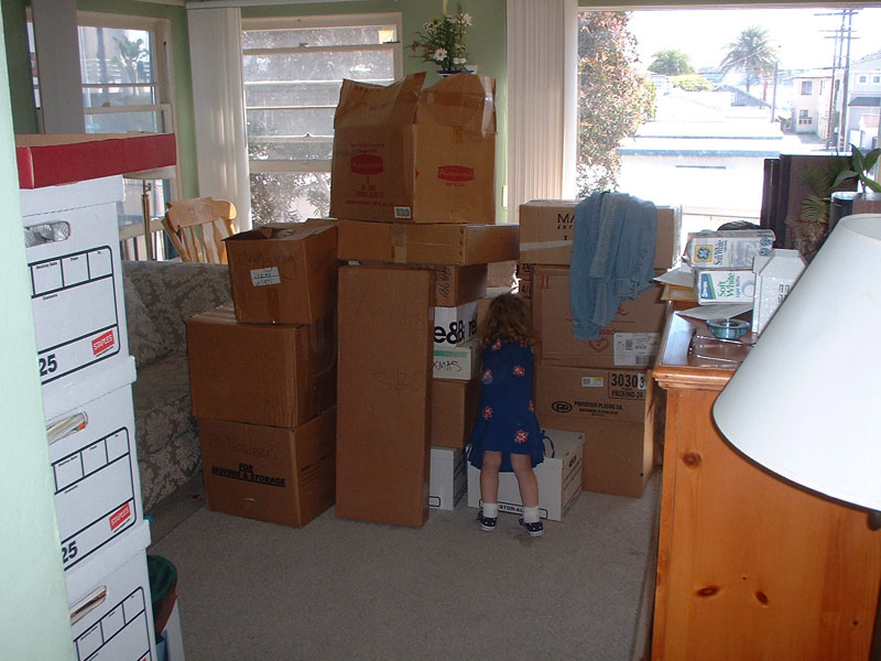 Savannah packing boxes.jpg 120.1K